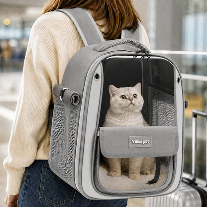 Transparent Cat Backpack Carrier – Roomy & Breathable