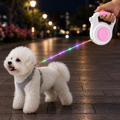 Light-Up Retractable Dog Leash – Rechargeable & Visible