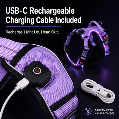 Rechargeable LED Dog Harness – Glow for Night Walks
