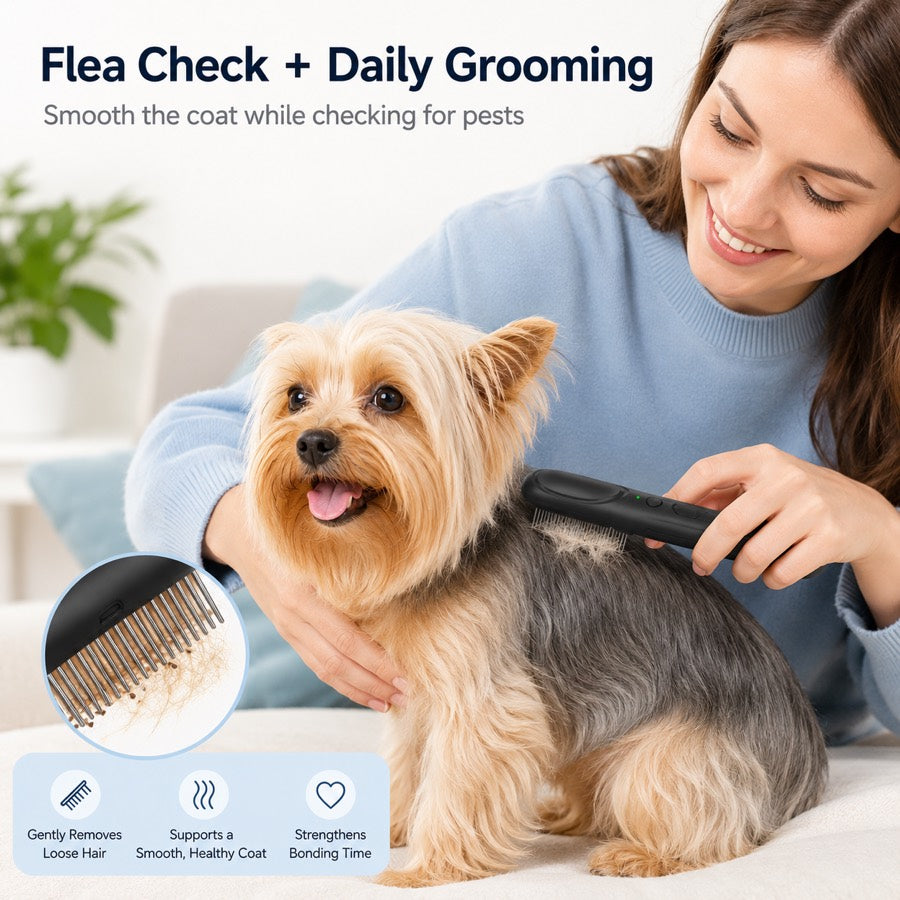 Electric Flea Comb – Spray-Free Flea Checks at Home