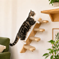4-Step Ladder