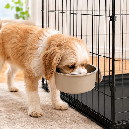 Crate-Mounted Steel Pet Bowl – Spill-Free Kennel Feeding