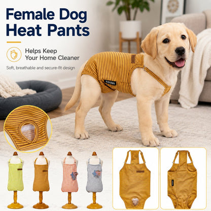 Female Dog Heat Pants – Washable with Straps