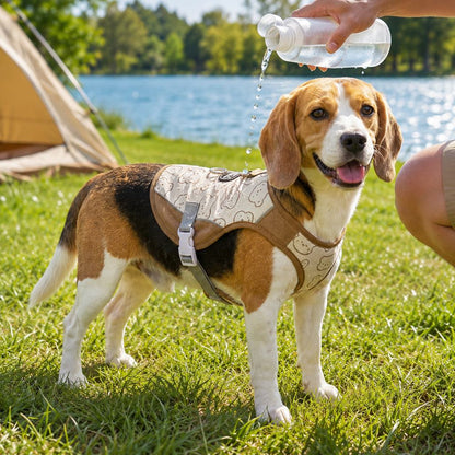 Dog Cooling Sun Vest – Water-Activated Heat Relief