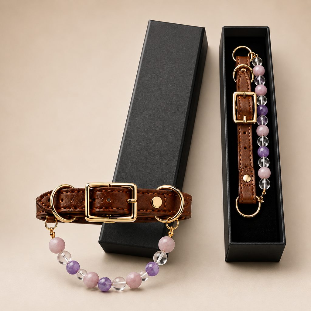 Crystal Pet Collar Gift Box – Photo-Ready Pet Jewelry