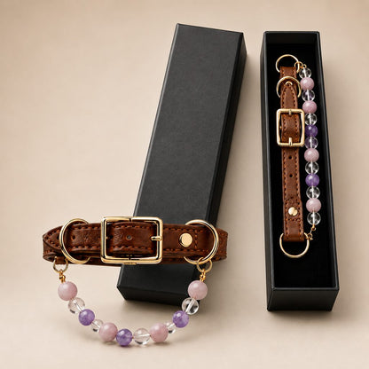 Crystal Pet Collar Gift Box – Photo-Ready Pet Jewelry