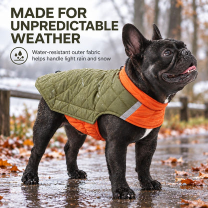 Reversible Quilted Dog Coat – Water-Resistant 2-in-1
