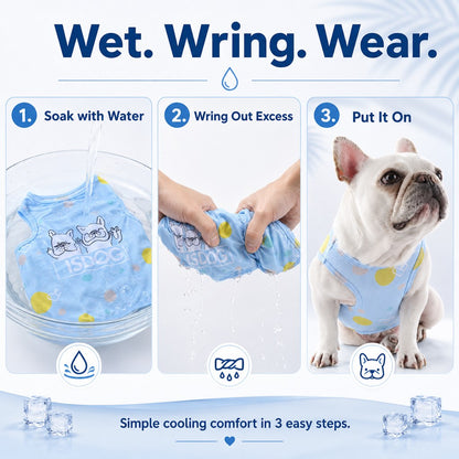 Frenchie Cooling Vest – Cooler Hot Summer Walks