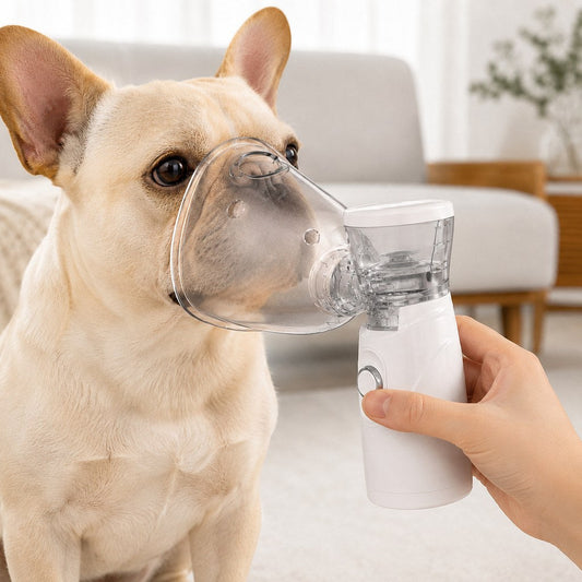 Portable Pet Mist Care Kit – Rechargeable with 2 Masks