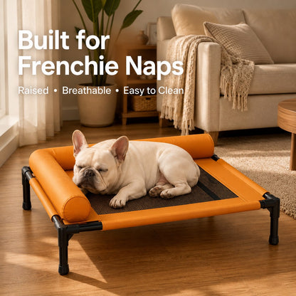 Elevated Dog Cot with Bolsters – Cooler, Breathable Naps