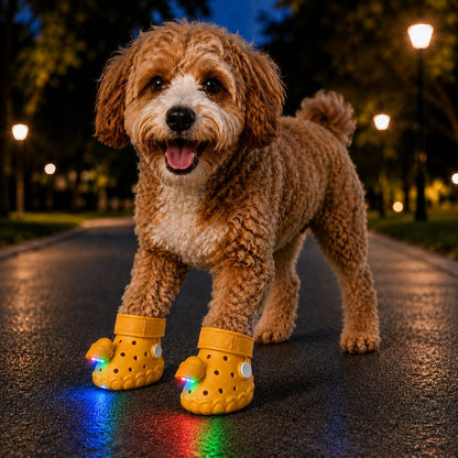 Step-Activated RGB Dog Boots – Light-Up Night Walks