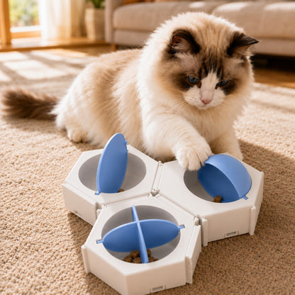Hexagon Cat Puzzle Feeder – Slow Feeding Enrichment
